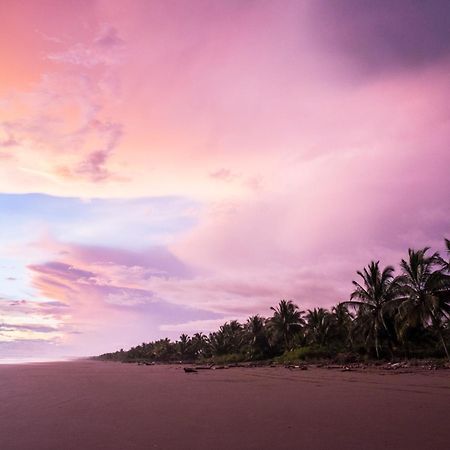 Show Pony Beach Resort And Suites 拉斯拉哈斯 外观 照片
